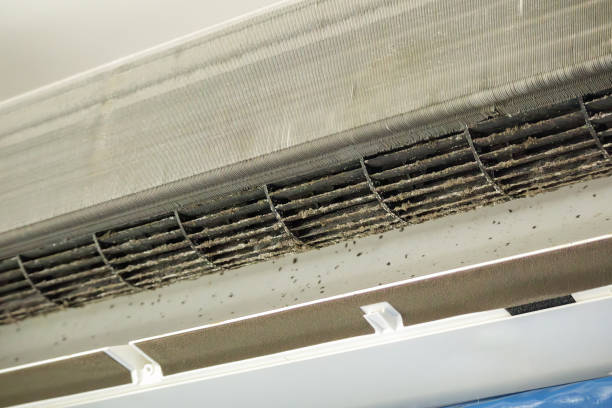 Best Dryer Vent Cleaning Services  in Butler, OH